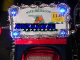 Skull Car Light License Plate Frame Screws Blue Hearse Motorcycle Truck Hearse